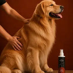 Après-shampoing sans rinçage pour chiens - Démêlant et soin du pelage - 200 ml Au meilleur ami