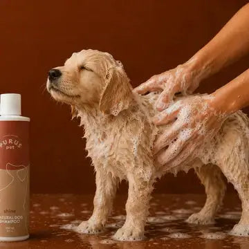 Shampoing pour chiens - soin nourrissant et pelage brillant 250 ml Au meilleur ami