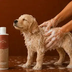 Shampoing pour chiens - soin nourrissant et pelage brillant 250 ml Au meilleur ami