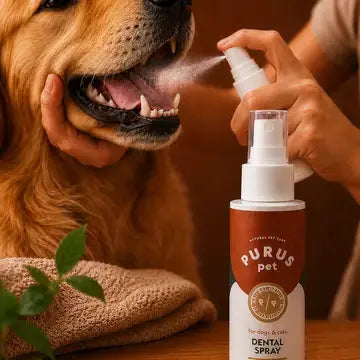 Spray dentaire pour chiens et chats – Haleine fraîche - 100 ml Au meilleur ami