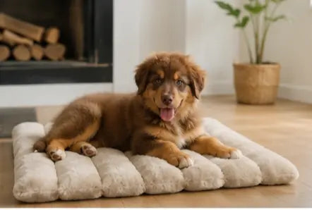 Matelas pour chiens et chats Au meilleur ami