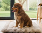 Matelas pour chiens et chats Au meilleur ami