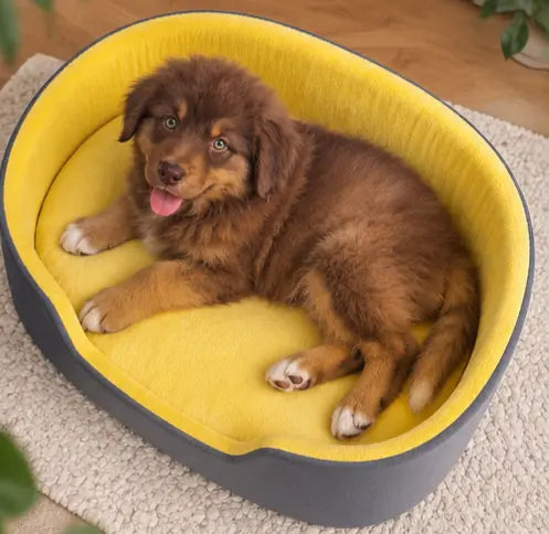 Panier pour chien très confortable Au meilleur ami