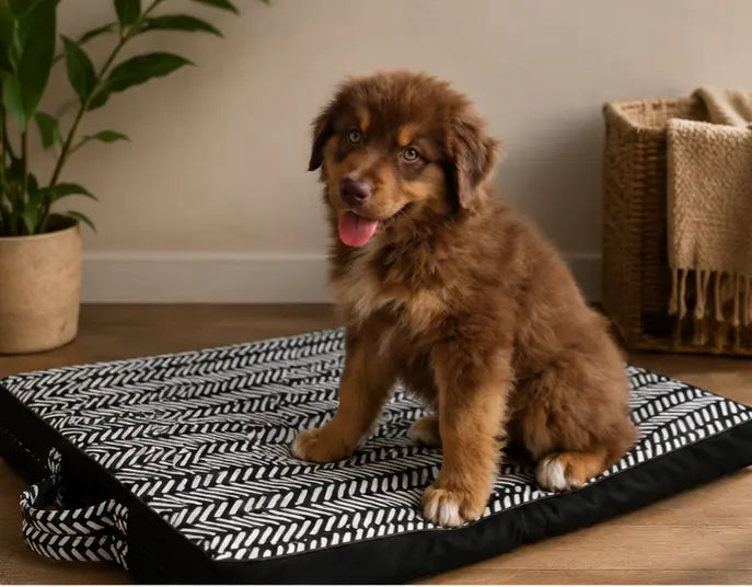 Tapis pliable pour chiens Au meilleur ami