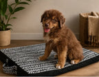 Tapis pliable pour chiens Au meilleur ami